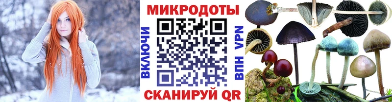 наркота  Козьмодемьянск  Галлюциногенные грибы ЛСД 